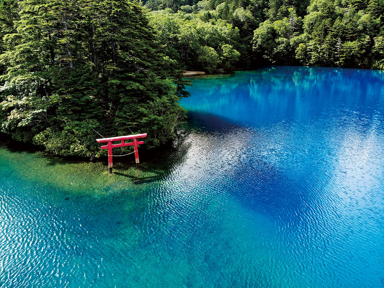 道の駅北信州やまのうち | The Snow Monkey Town 山ノ内町